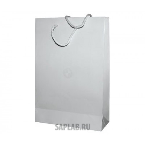 Купить BMW 80502452050 Бумажный подарочный пакет BMW Paper Bag, White, Size S