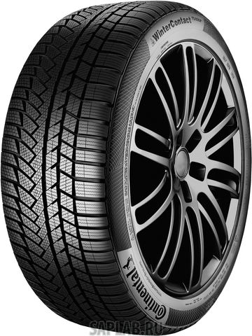 Купить CONTINENTAL 0355028 Шины Continental CONTIWINTERCONTACT TS850P 205/55R17 91H MO