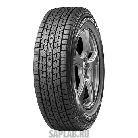 Купить DUNLOP 336015 Шины DUNLOP  215/65/17  R 103 WINTER MAXX Sj8