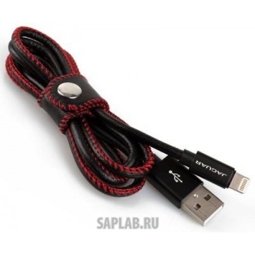 Купить Jaguar JDPH895BKA Кабель для iPhone Jaguar Leather Wrapped iPhone Cable, Black