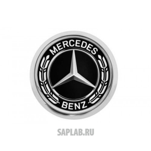 Купить MERCEDES B66953551 Значок Mercedes-Benz Pin, Laurel Leaf Badge, Silver-coloured / Black